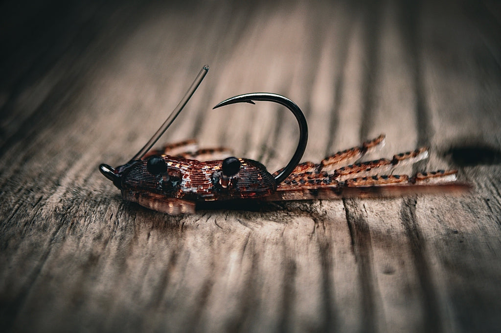 Lowcountry Fiddler System