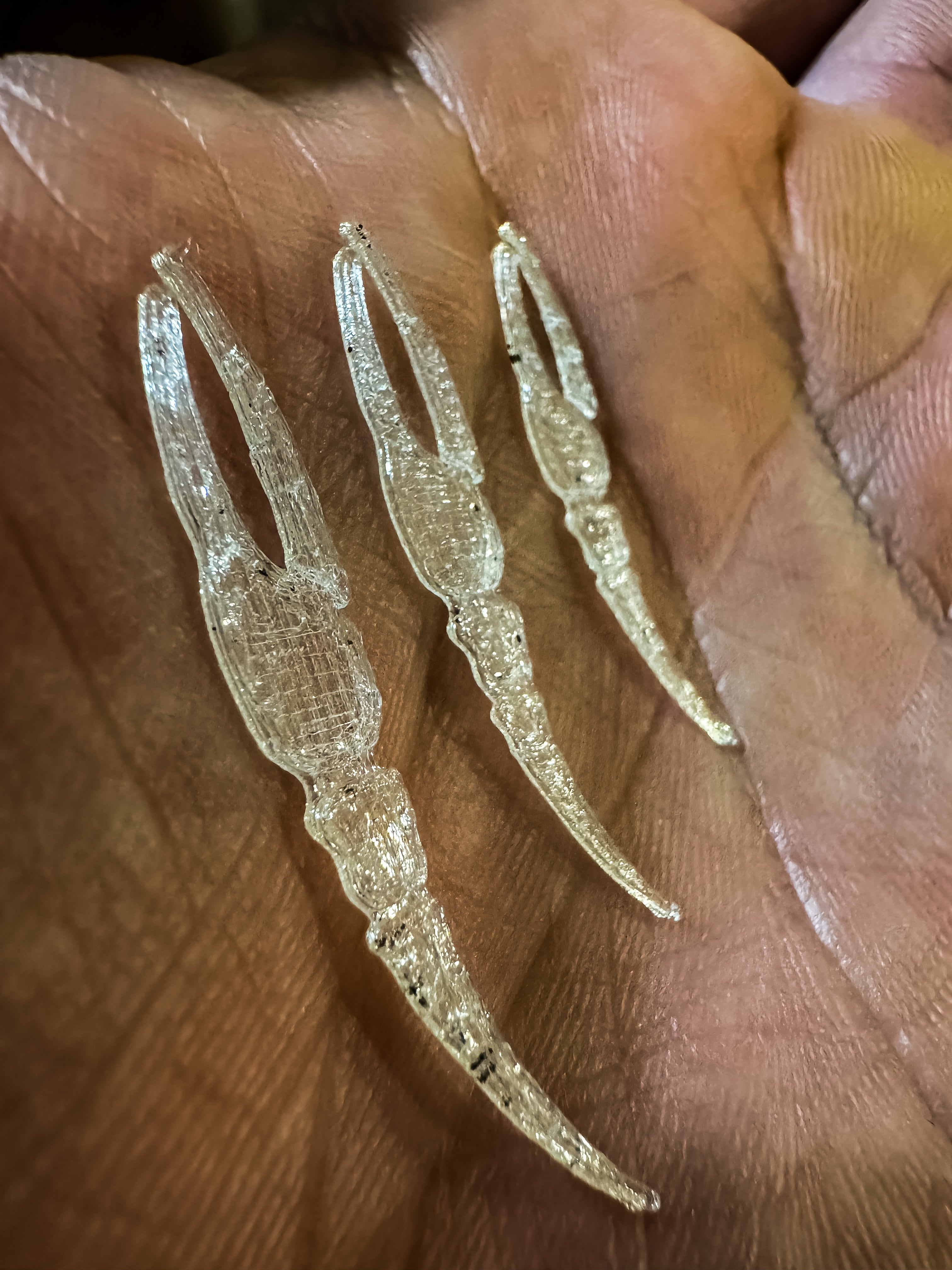 Lowcountry Fiddler Claws