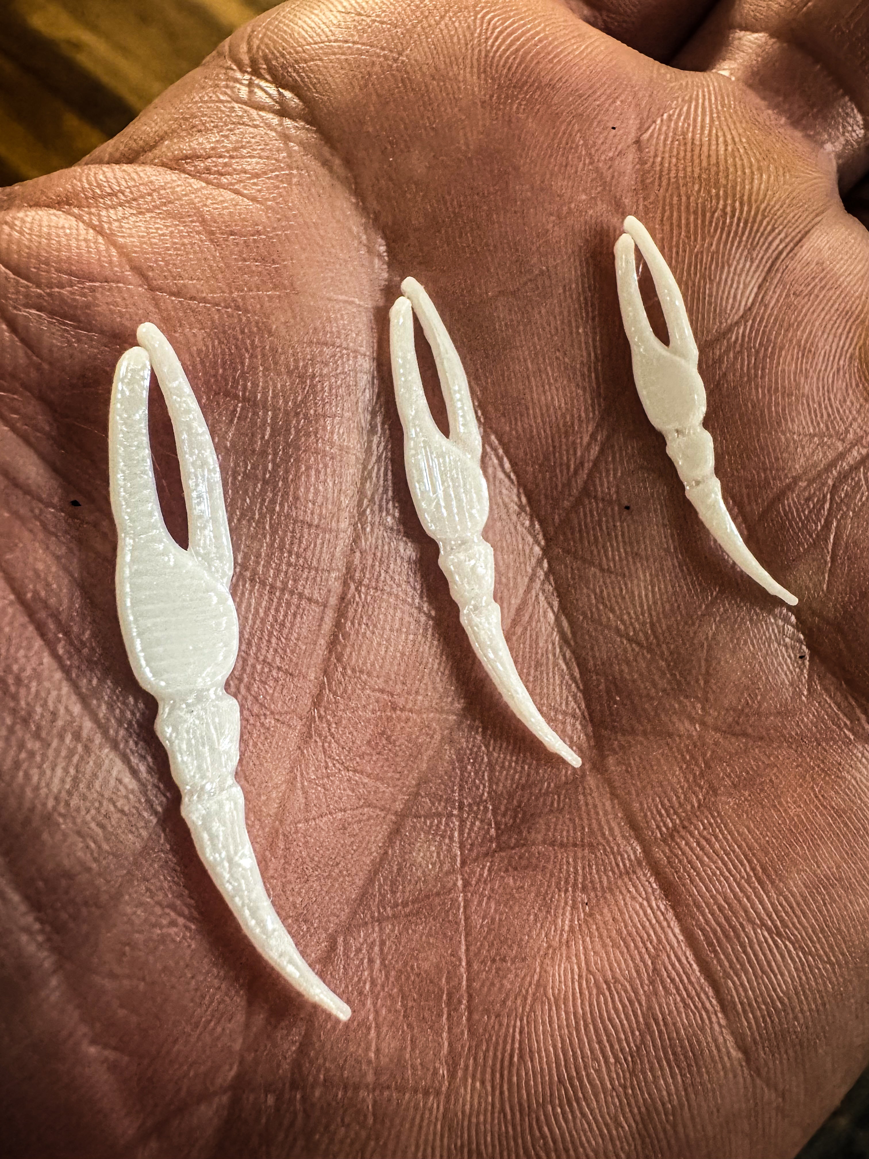 Lowcountry Fiddler Claws