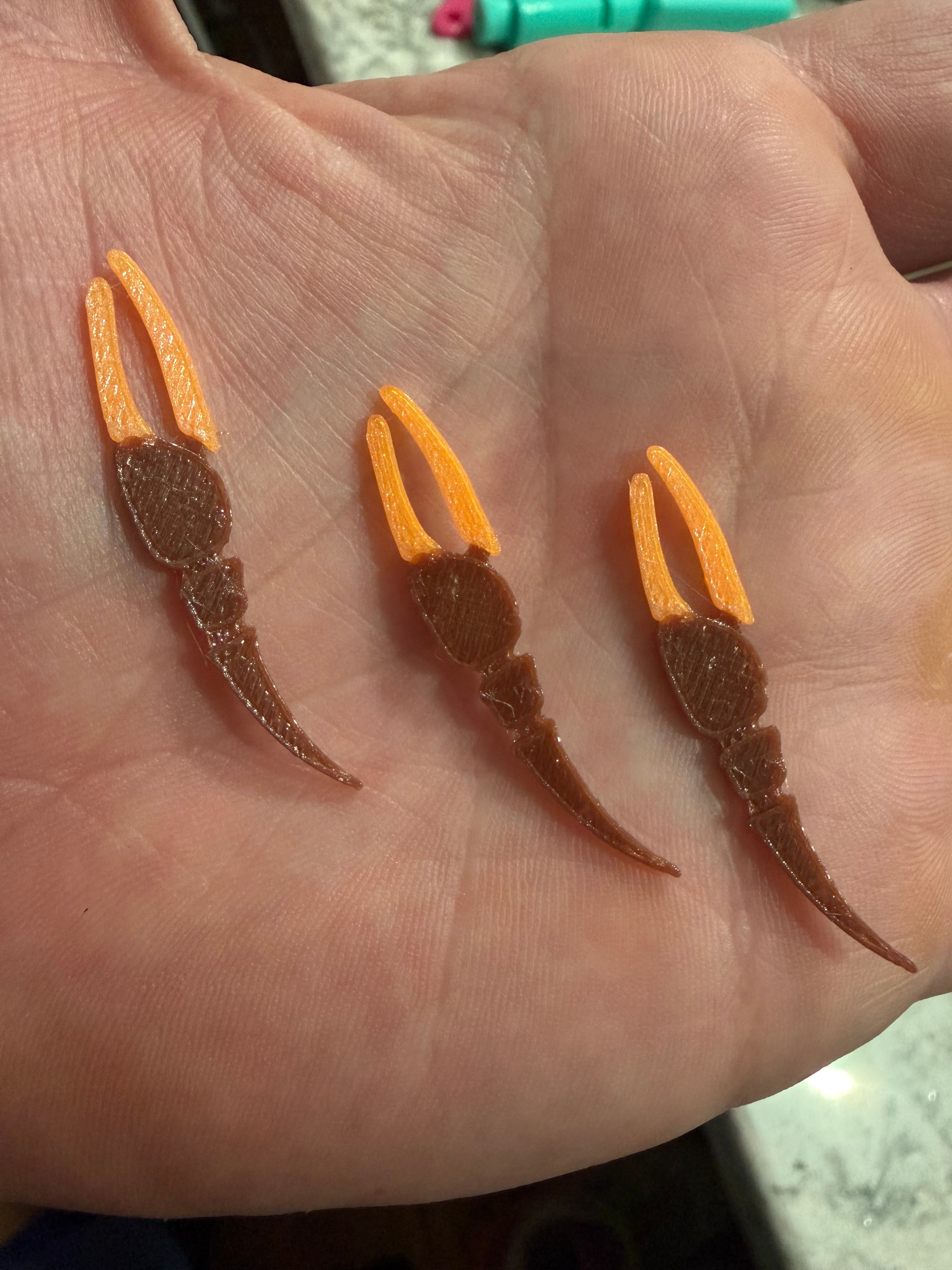 Lowcountry Fiddler Claws