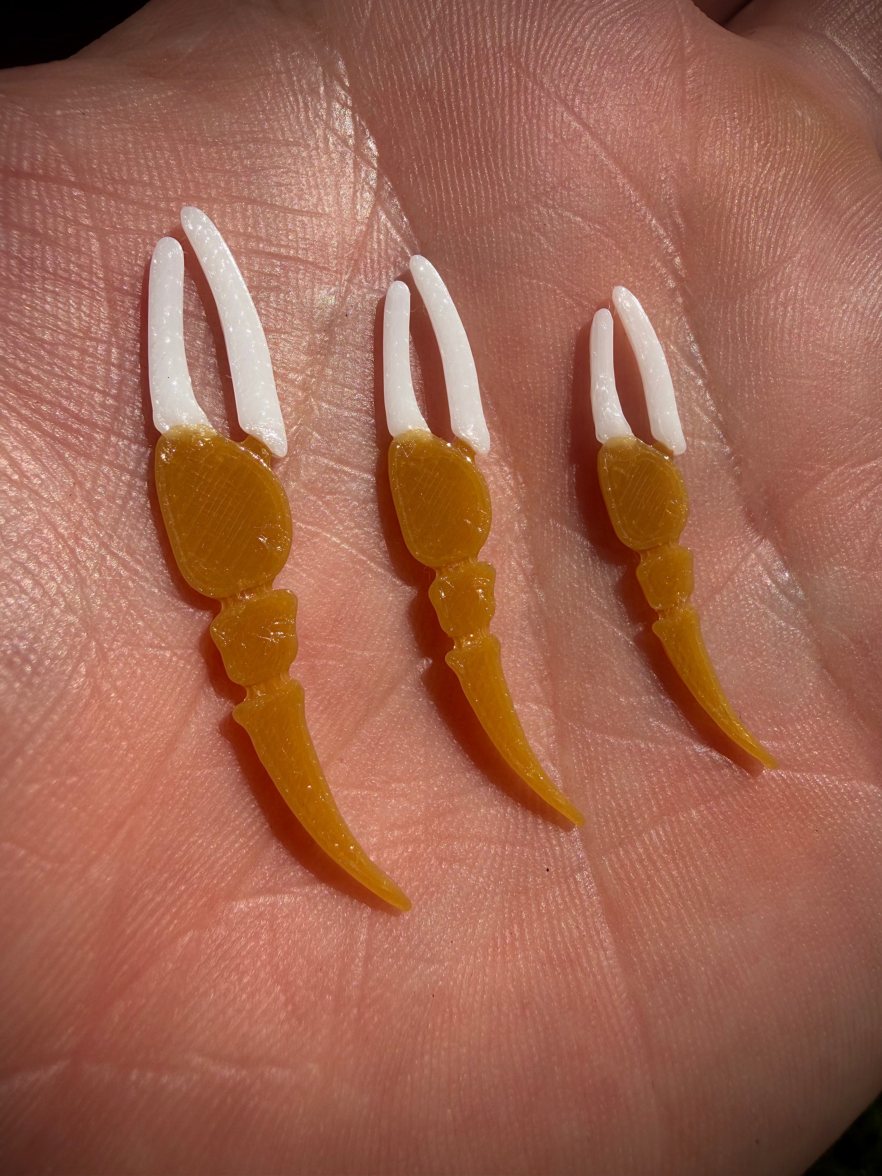 Lowcountry Fiddler Claws