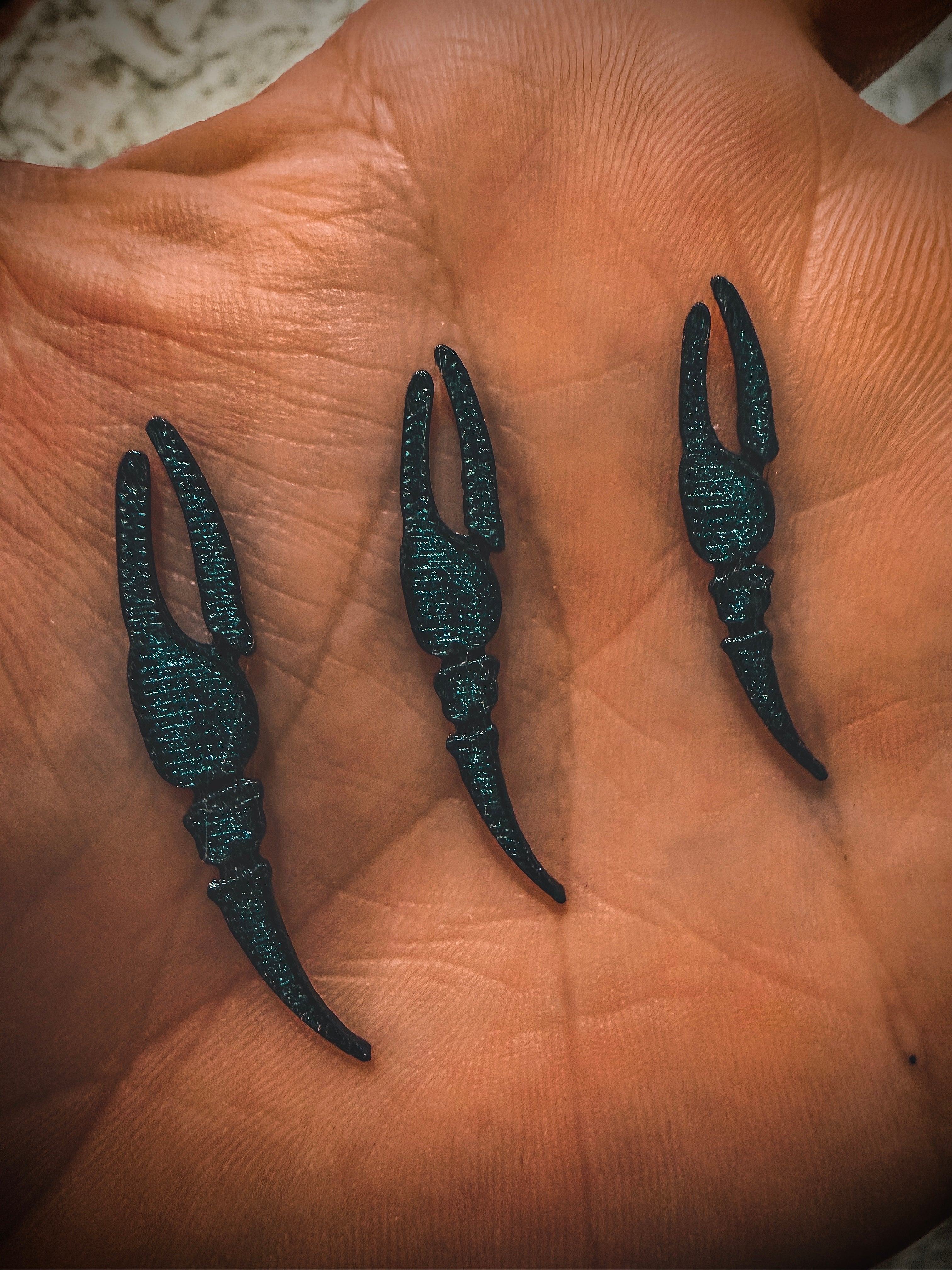 Lowcountry Fiddler Claws