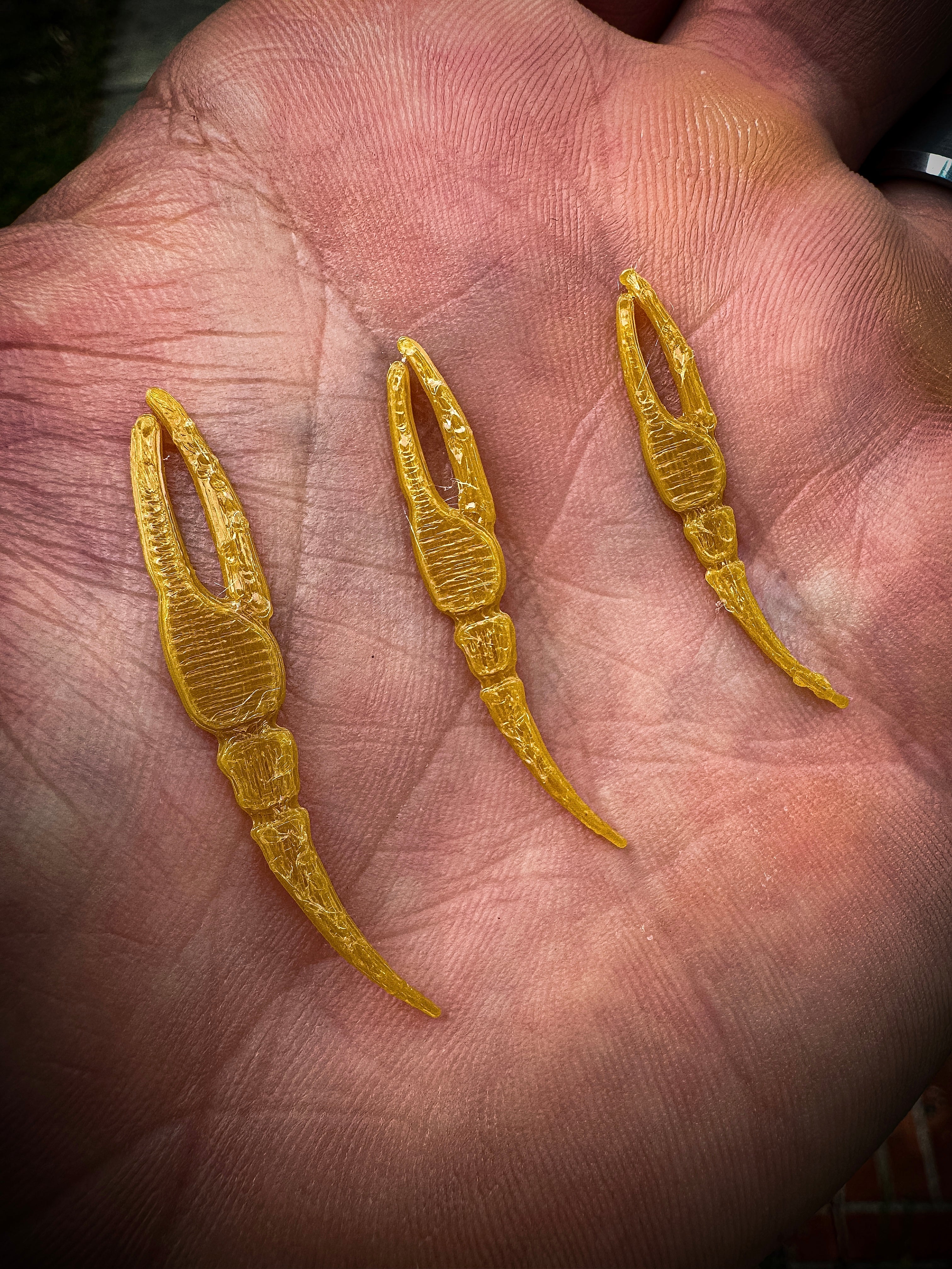 Lowcountry Fiddler Claws