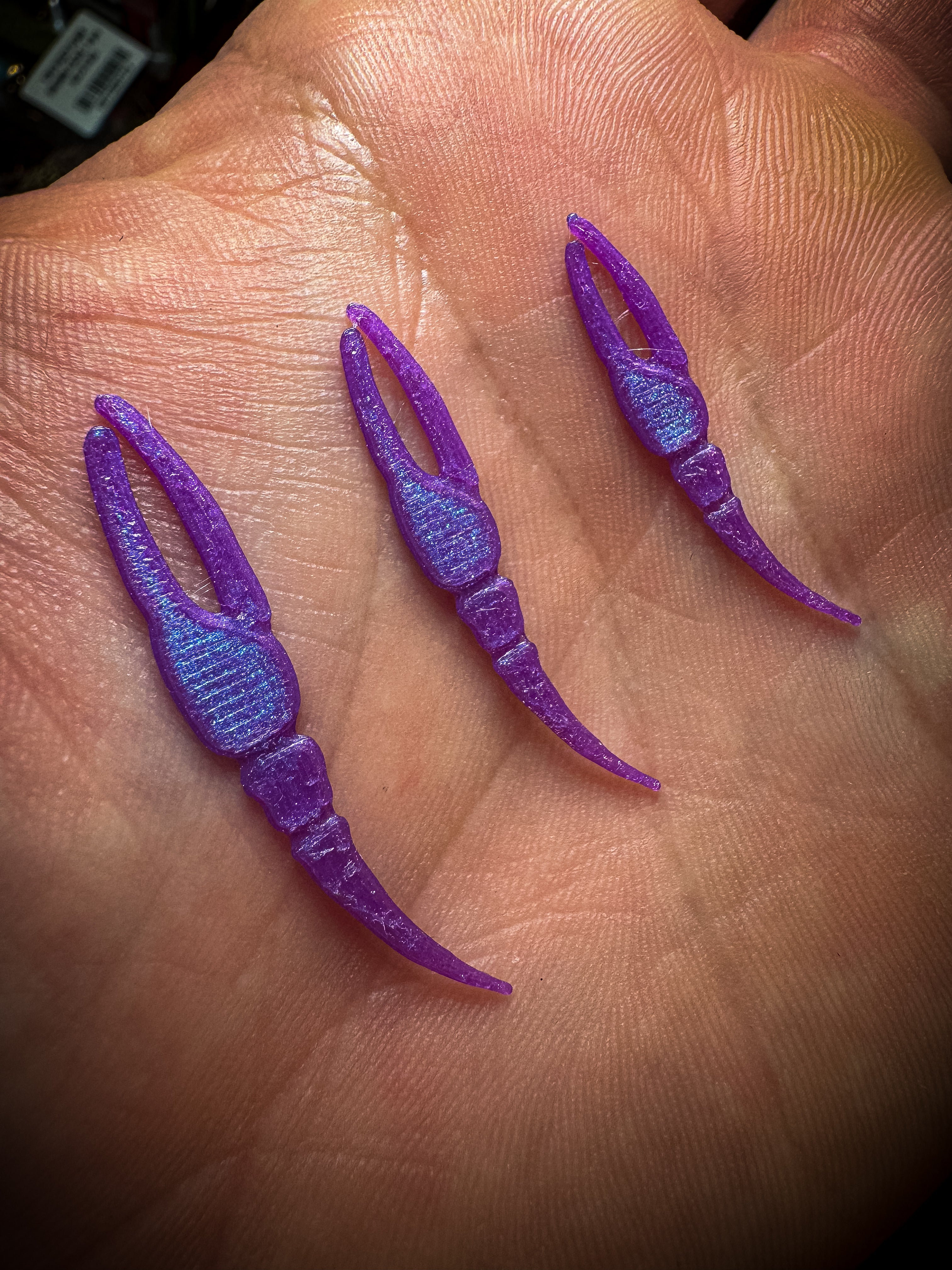 Lowcountry Fiddler Claws