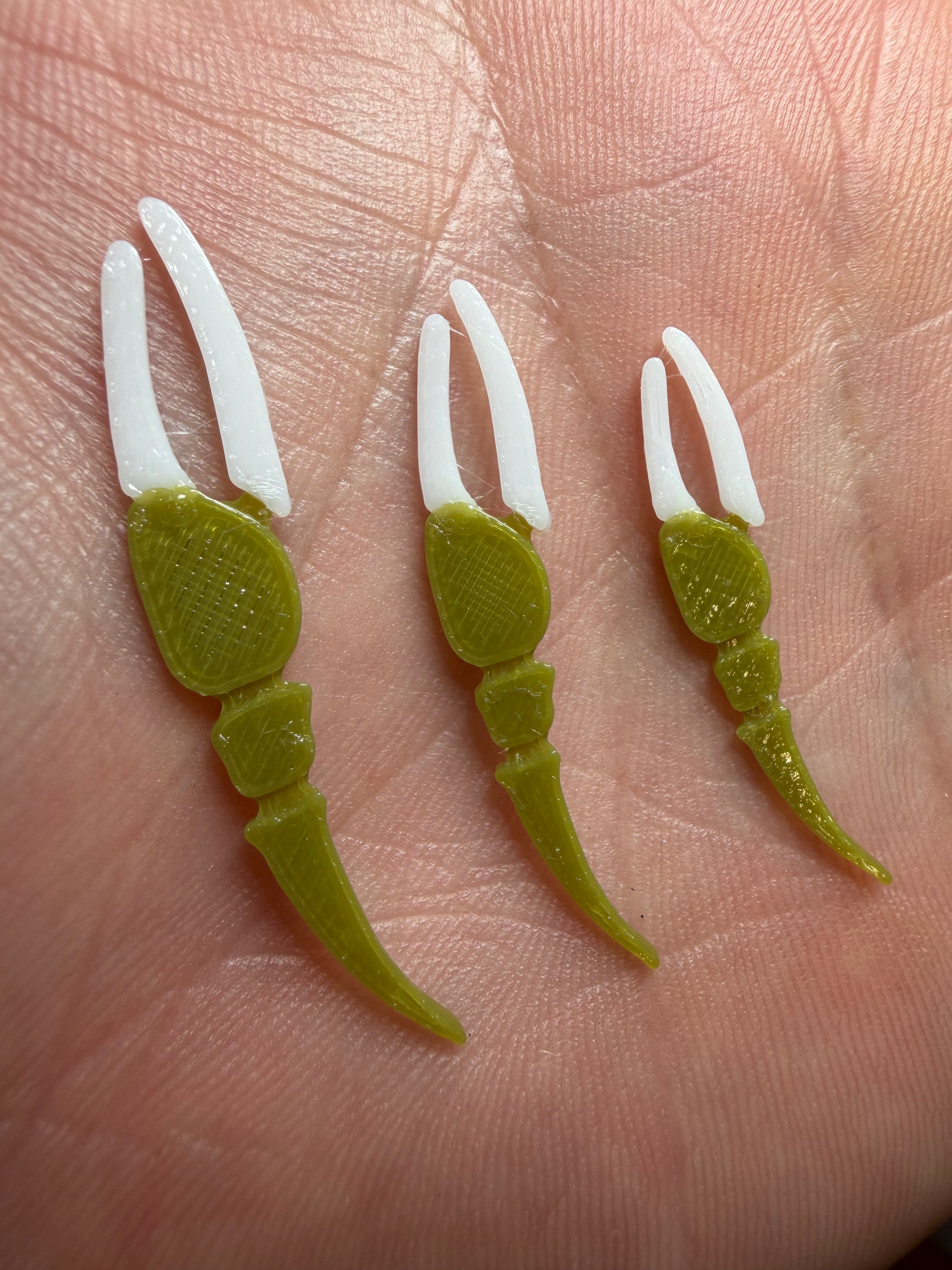 Lowcountry Fiddler Claws
